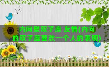 内向型双子座 友情(内向的双子座喜欢一个人的表现)
